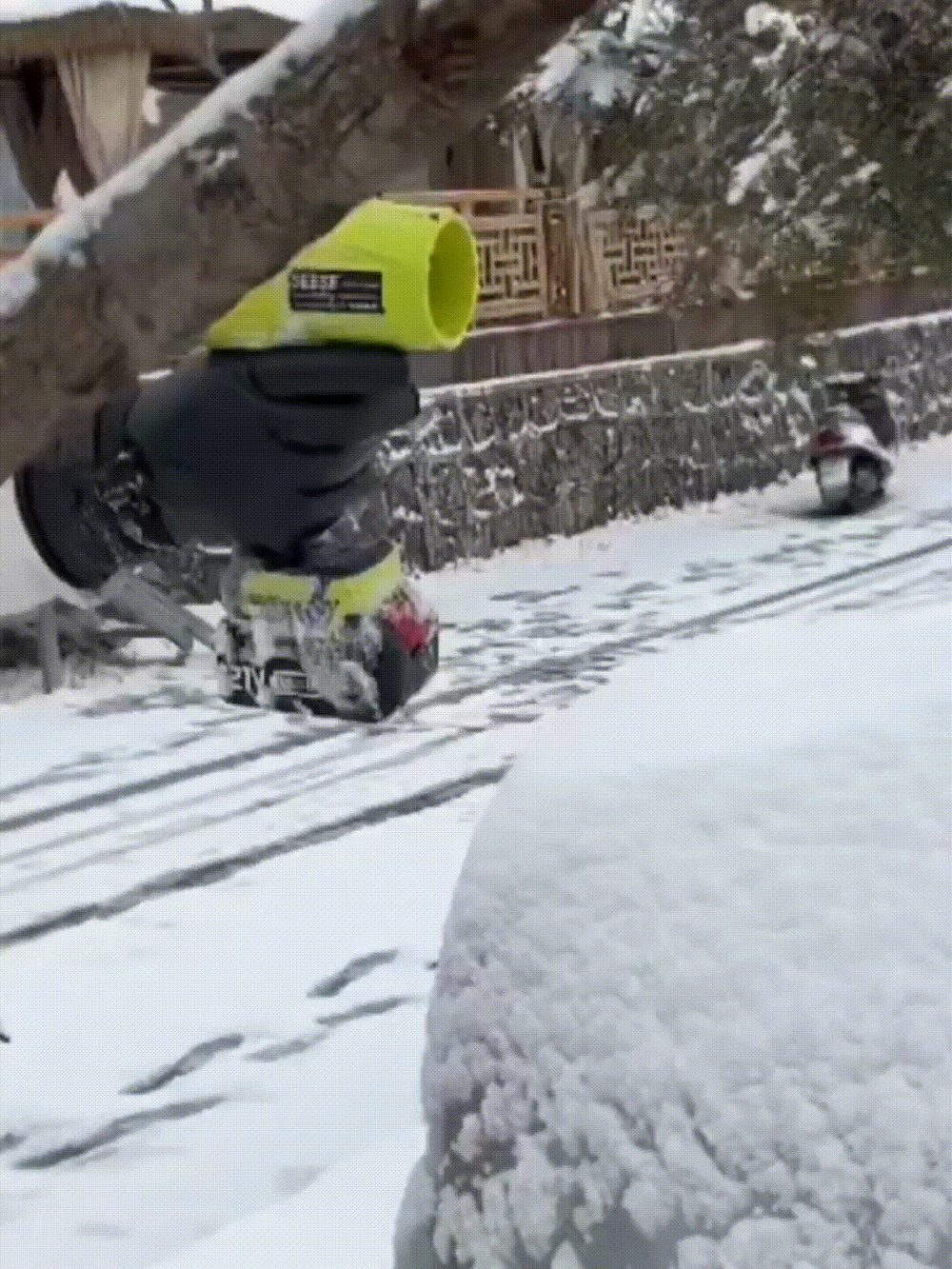 🎁 Limited Time 💨 SEESE PRO – Power Clean in Seconds (Perfect Gift 💙)